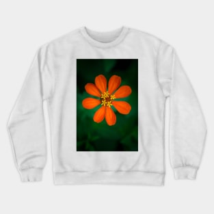 Orange Clavelon - Flower Photography Crewneck Sweatshirt